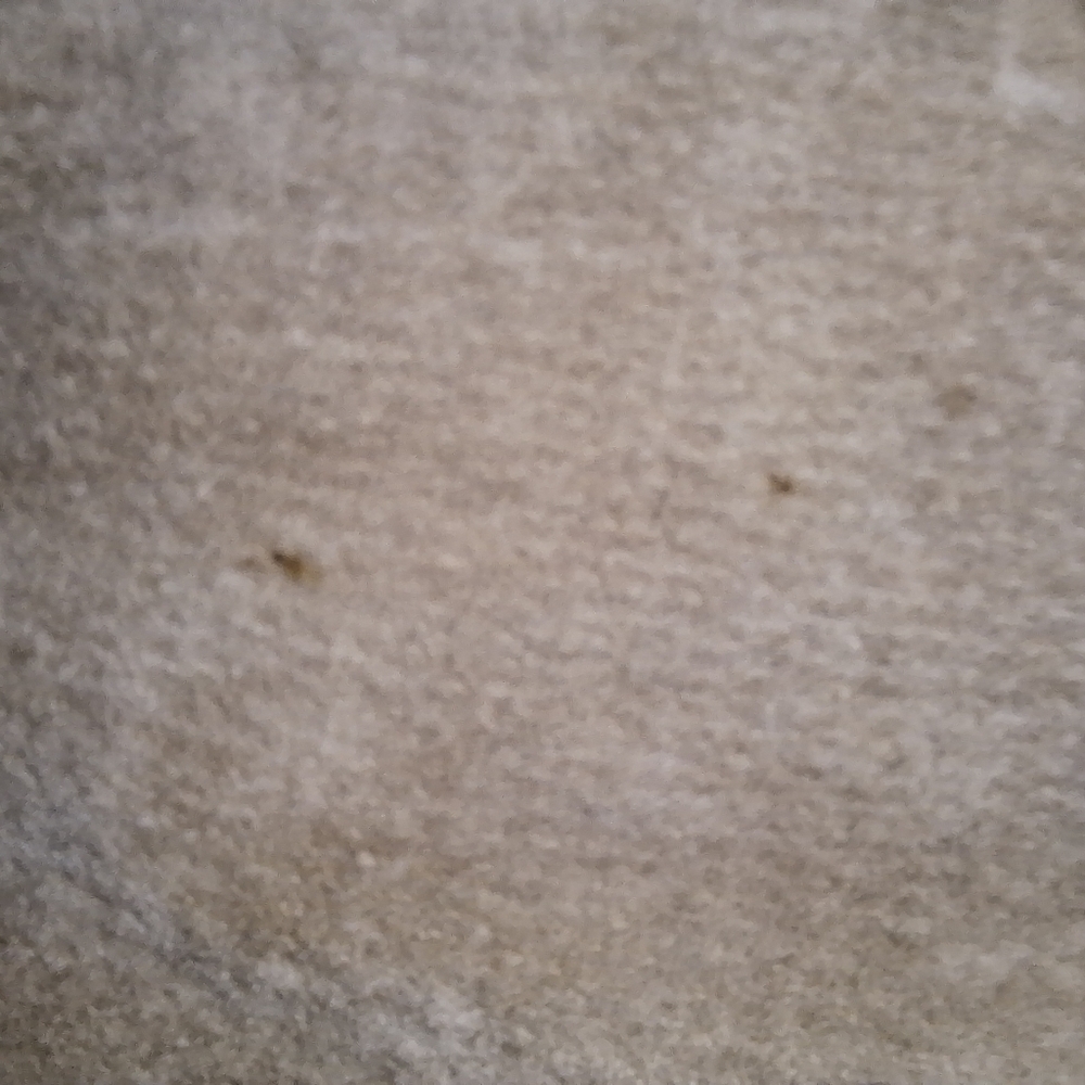 Ruff Hewn Women's Tan Suede Jacket In A Size Large. Leather, Western, Cowgirl - Picture 5 of 9